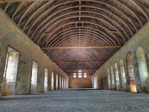 archi, finestre, legno, tetto, pavimento, porte, soffitto, prospettiva, tiranti, luce, architettura, arco, corridoio, traverse, stanza, arcate, edificio, vuoto