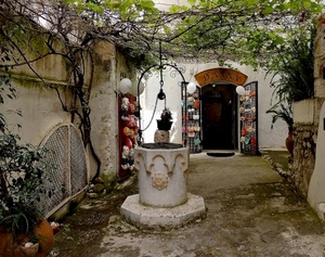 pozzo, negozio, piante, cortile, verde, bianco, porta, pergolato, borse, palloncini, secchio, rampicanti, carrucola, foglie, vasi, catena